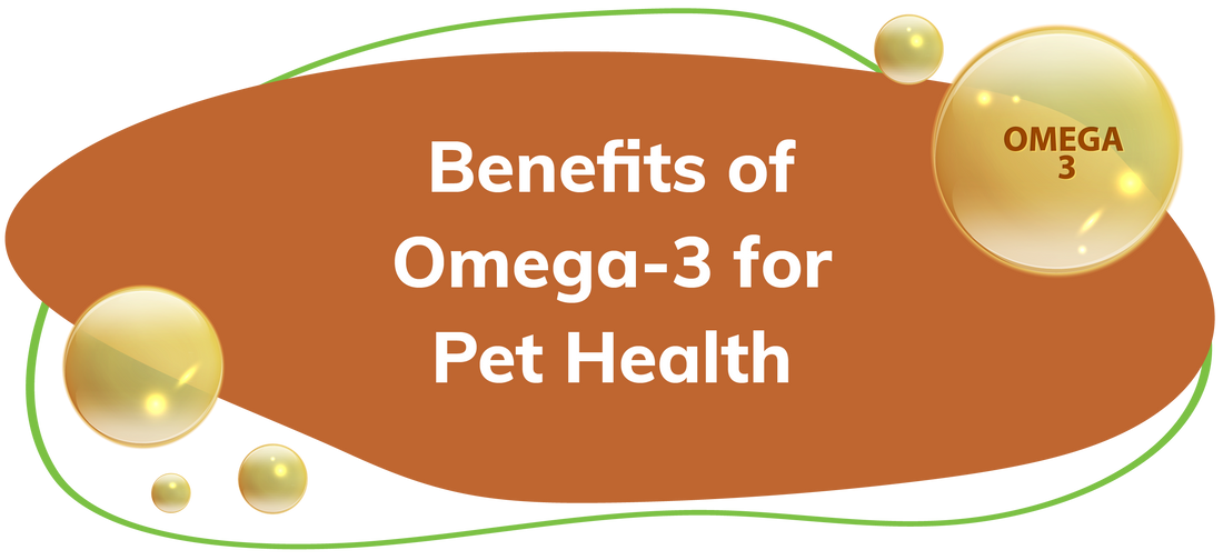 Lillidale Benefits of Omega-3 for Pet Health