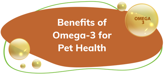 Lillidale Benefits of Omega-3 for Pet Health