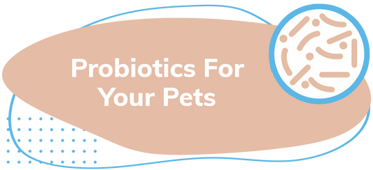 Lillidale Probiotics for Your Pets