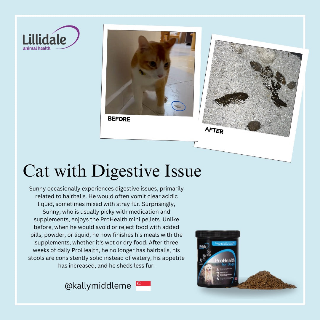 Lillidale Testimonials ProHealth for Cats - Digestive
