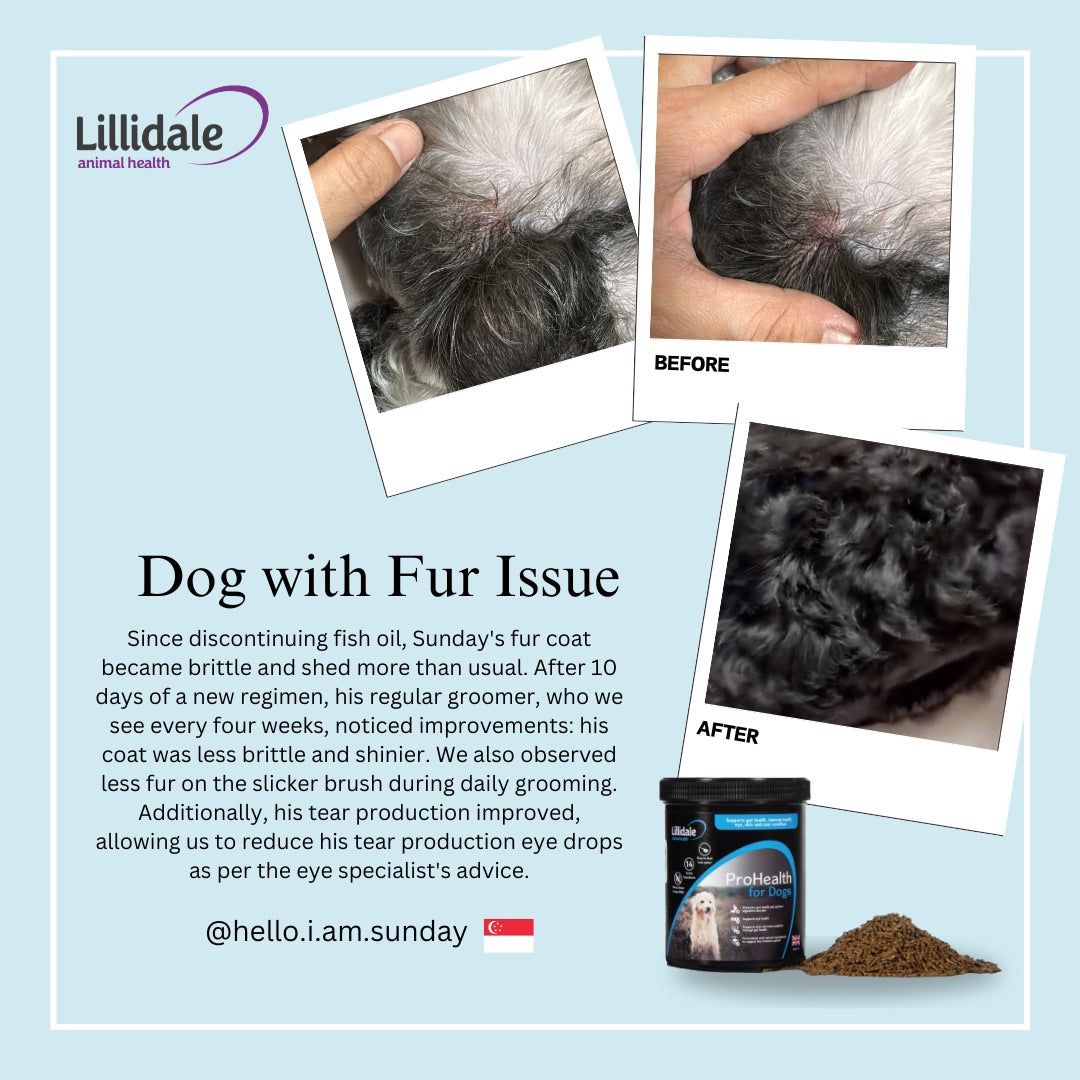 Lillidale Testimonials ProHealth for Dogs - Fur issue