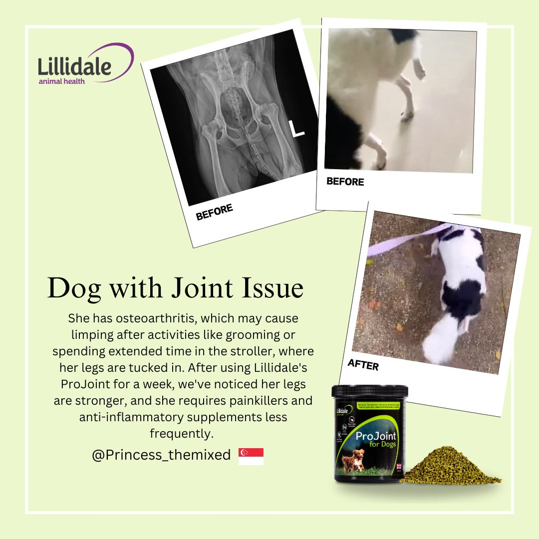 Lillidale Testimonials ProJoint for Dogs - Joint issue